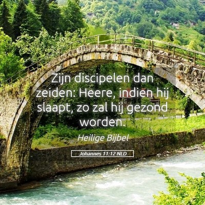 Picture 05 - Johannes 11:12 NLD - Zijn discipelen dan zeiden: Heere, indien hij - Bible Verse Picture