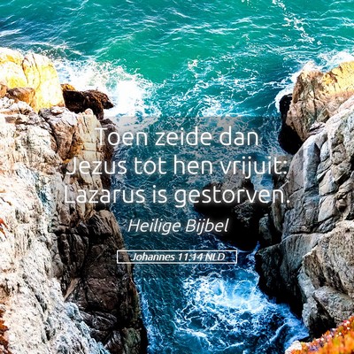 Picture 05 - Johannes 11:14 NLD - Toen zeide dan Jezus tot hen vrijuit: Lazarus is - Bible Verse Picture