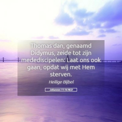 Picture 05 - Johannes 11:16 NLD - Thomas dan, genaamd Didymus, zeide tot zijn - Bible Verse Picture