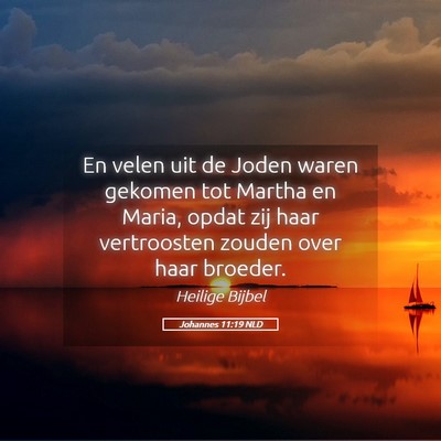 Picture 05 - Johannes 11:19 NLD - En velen uit de Joden waren gekomen tot Martha en - Bible Verse Picture