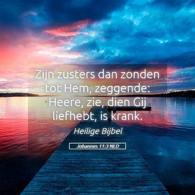 Picture 05 - Johannes 11:3 NLD - Zijn zusters dan zonden tot Hem, zeggende: Heere, - Bible Verse Picture
