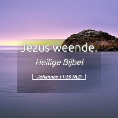 Picture 05 - Johannes 11:35 NLD - Jezus - Bible Verse Picture