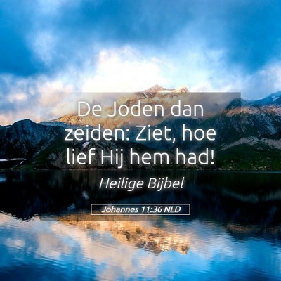 Picture 05 - Johannes 11:36 NLD - De Joden dan zeiden: Ziet, hoe lief Hij hem - Bible Verse Picture
