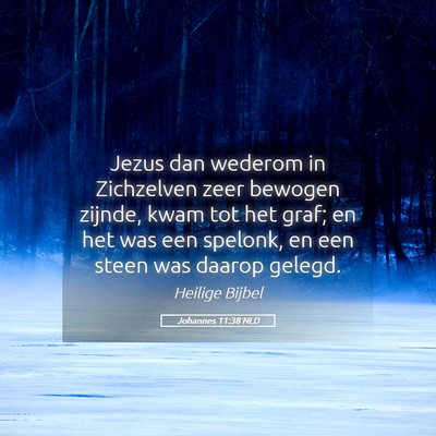 Picture 05 - Johannes 11:38 NLD - Jezus dan wederom in Zichzelven zeer bewogen - Bible Verse Picture