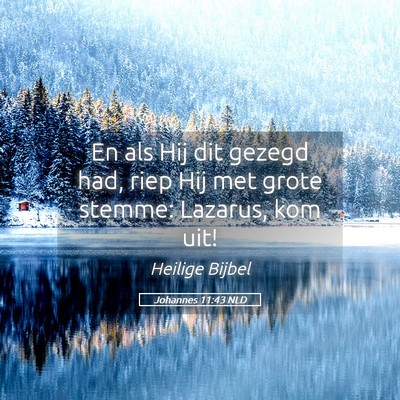 Picture 05 - Johannes 11:43 NLD - En als Hij dit gezegd had, riep Hij met grote - Bible Verse Picture