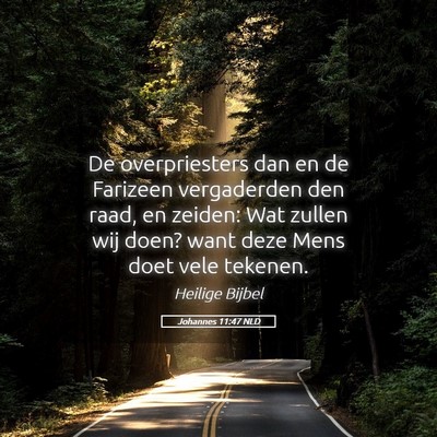 Picture 05 - Johannes 11:47 NLD - De overpriesters dan en de Farizeen vergaderden - Bible Verse Picture