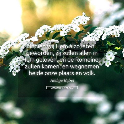 Picture 05 - Johannes 11:48 NLD - Indien wij Hem alzo laten geworden, zij zullen - Bible Verse Picture