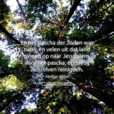Picture 05 - Johannes 11:55 NLD - En het pascha der Joden was nabij, en velen uit - Bible Verse Picture