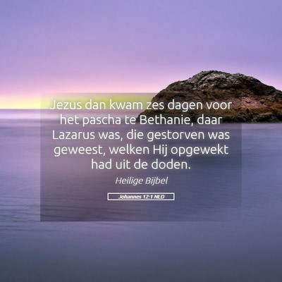 Picture 05 - Johannes 12:1 NLD - Jezus dan kwam zes dagen voor het pascha te - Bible Verse Picture