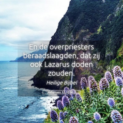 Picture 05 - Johannes 12:10 NLD - En de overpriesters beraadslaagden, dat zij ook - Bible Verse Picture
