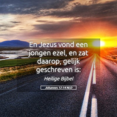 Picture 05 - Johannes 12:14 NLD - En Jezus vond een jongen ezel, en zat daarop, - Bible Verse Picture