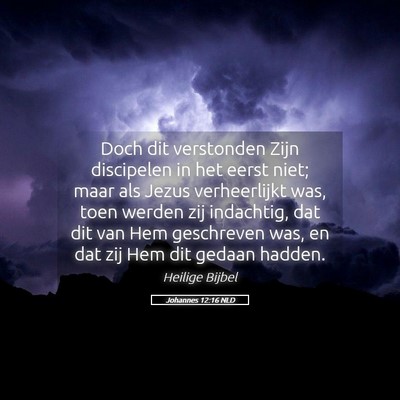 Picture 05 - Johannes 12:16 NLD - Doch dit verstonden Zijn discipelen in het eerst - Bible Verse Picture