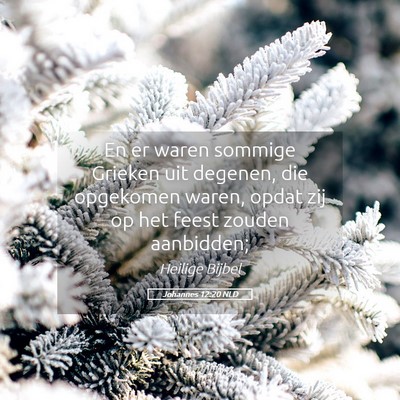 Picture 05 - Johannes 12:20 NLD - En er waren sommige Grieken uit degenen, die - Bible Verse Picture