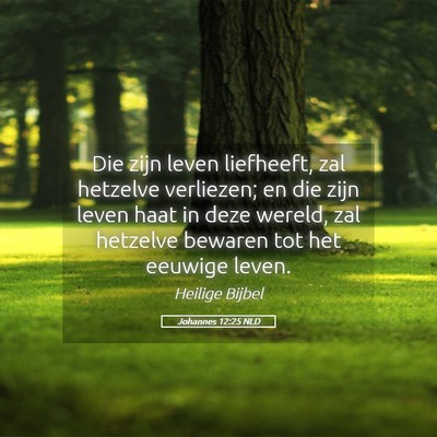 Picture 05 - Johannes 12:25 NLD - Die zijn leven liefheeft, zal hetzelve verliezen; - Bible Verse Picture