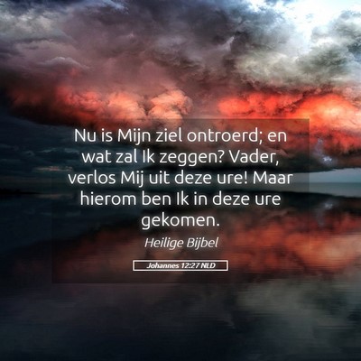 Picture 05 - Johannes 12:27 NLD - Nu is Mijn ziel ontroerd; en wat zal Ik zeggen? - Bible Verse Picture