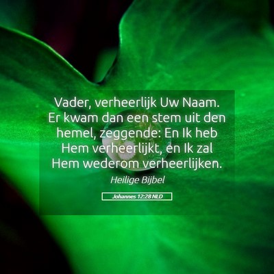 Picture 05 - Johannes 12:28 NLD - Vader, verheerlijk Uw Naam. Er kwam dan een stem - Bible Verse Picture