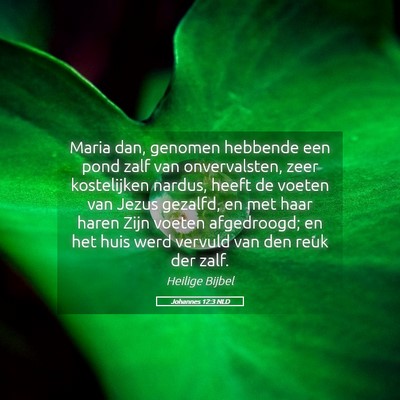 Picture 05 - Johannes 12:3 NLD - Maria dan, genomen hebbende een pond zalf van - Bible Verse Picture
