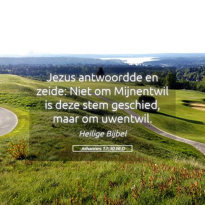 Picture 05 - Johannes 12:30 NLD - Jezus antwoordde en zeide: Niet om Mijnentwil is - Bible Verse Picture