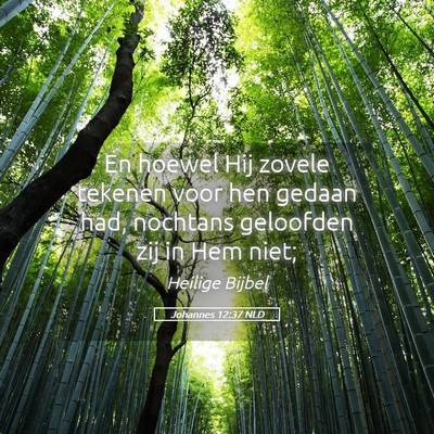 Picture 05 - Johannes 12:37 NLD - En hoewel Hij zovele tekenen voor hen gedaan had, - Bible Verse Picture