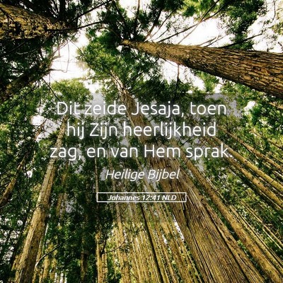 Picture 05 - Johannes 12:41 NLD - Dit zeide Jesaja, toen hij Zijn heerlijkheid zag, - Bible Verse Picture
