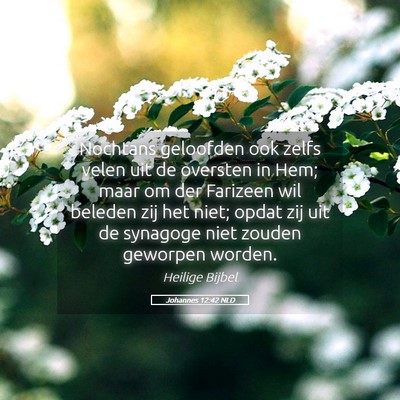 Picture 05 - Johannes 12:42 NLD - Nochtans geloofden ook zelfs velen uit de - Bible Verse Picture