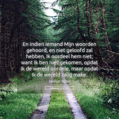 Picture 05 - Johannes 12:47 NLD - En indien iemand Mijn woorden gehoord, en niet - Bible Verse Picture