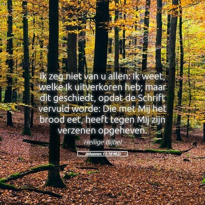 Picture 05 - Johannes 13:18 NLD - Ik zeg niet van u allen: Ik weet, welke Ik - Bible Verse Picture