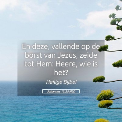 Picture 05 - Johannes 13:25 NLD - En deze, vallende op de borst van Jezus, zeide - Bible Verse Picture