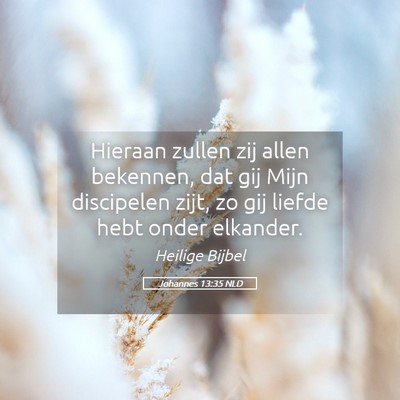 Picture 05 - Johannes 13:35 NLD - Hieraan zullen zij allen bekennen, dat gij Mijn - Bible Verse Picture