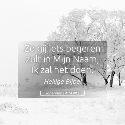 Picture 05 - Johannes 14:14 NLD - Zo gij iets begeren zult in Mijn Naam, Ik zal het - Bible Verse Picture