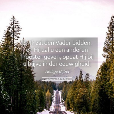 Picture 05 - Johannes 14:16 NLD - En Ik zal den Vader bidden, en Hij zal u een - Bible Verse Picture