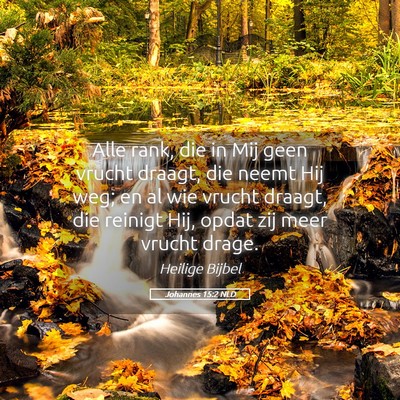 Picture 05 - Johannes 15:2 NLD - Alle rank, die in Mij geen vrucht draagt, die - Bible Verse Picture