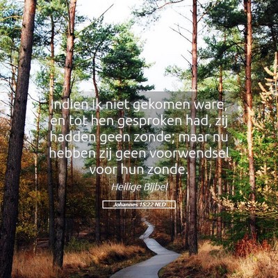 Picture 05 - Johannes 15:22 NLD - Indien Ik niet gekomen ware, en tot hen gesproken - Bible Verse Picture