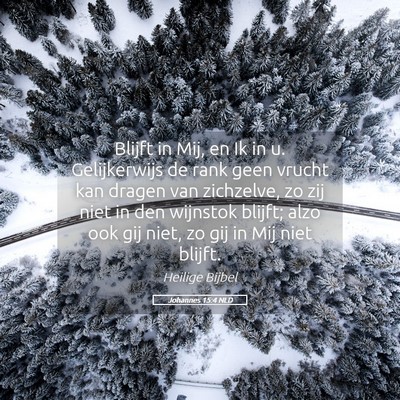Picture 05 - Johannes 15:4 NLD - Blijft in Mij, en Ik in u. Gelijkerwijs de rank - Bible Verse Picture