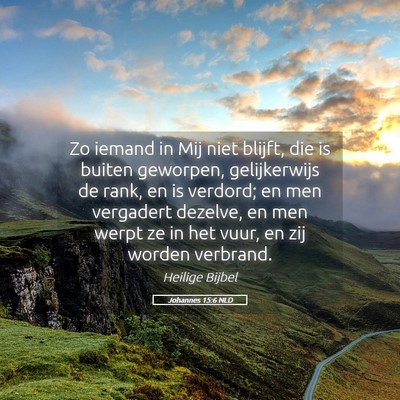 Picture 05 - Johannes 15:6 NLD - Zo iemand in Mij niet blijft, die is buiten - Bible Verse Picture
