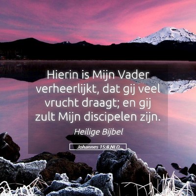 Picture 05 - Johannes 15:8 NLD - Hierin is Mijn Vader verheerlijkt, dat gij veel - Bible Verse Picture