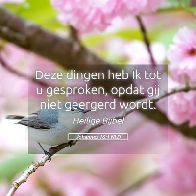 Picture 05 - Johannes 16:1 NLD - Deze dingen heb Ik tot u gesproken, opdat gij - Bible Verse Picture