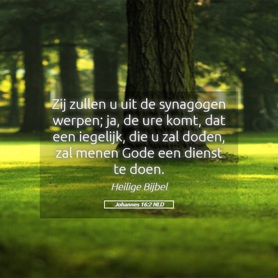 Picture 05 - Johannes 16:2 NLD - Zij zullen u uit de synagogen werpen; ja, de ure - Bible Verse Picture