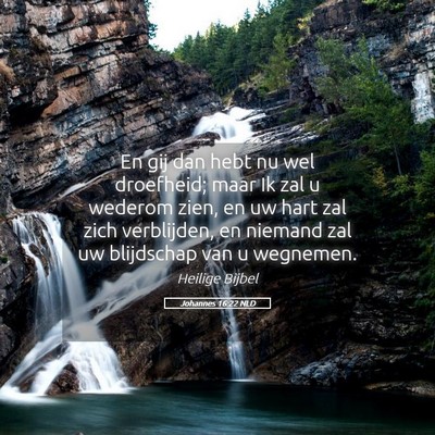 Picture 05 - Johannes 16:22 NLD - En gij dan hebt nu wel droefheid; maar Ik zal u - Bible Verse Picture