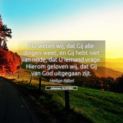 Picture 05 - Johannes 16:30 NLD - Nu weten wij, dat Gij alle dingen weet, en Gij - Bible Verse Picture