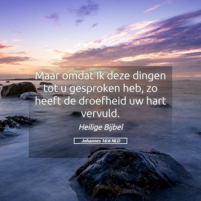 Picture 05 - Johannes 16:6 NLD - Maar omdat Ik deze dingen tot u gesproken heb, zo - Bible Verse Picture