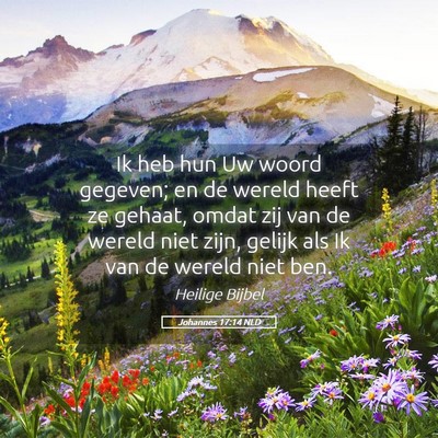 Picture 05 - Johannes 17:14 NLD - Ik heb hun Uw woord gegeven; en de wereld heeft - Bible Verse Picture