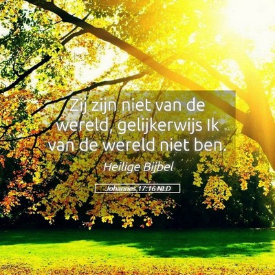 Picture 05 - Johannes 17:16 NLD - Zij zijn niet van de wereld, gelijkerwijs Ik van - Bible Verse Picture
