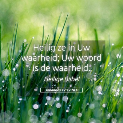 Picture 05 - Johannes 17:17 NLD - Heilig ze in Uw waarheid; Uw woord is de - Bible Verse Picture