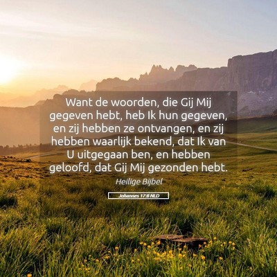 Picture 05 - Johannes 17:8 NLD - Want de woorden, die Gij Mij gegeven hebt, heb Ik - Bible Verse Picture