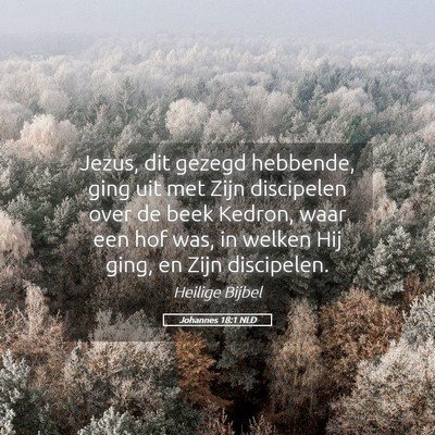 Picture 05 - Johannes 18:1 NLD - Jezus, dit gezegd hebbende, ging uit met Zijn - Bible Verse Picture