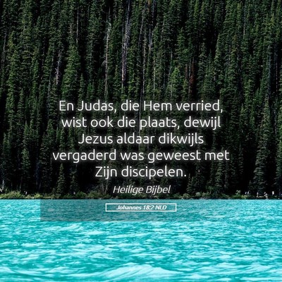 Picture 05 - Johannes 18:2 NLD - En Judas, die Hem verried, wist ook die plaats, - Bible Verse Picture