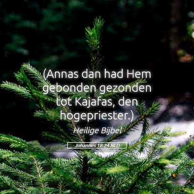 Picture 05 - Johannes 18:24 NLD - (Annas dan had Hem gebonden gezonden tot Kajafas, - Bible Verse Picture