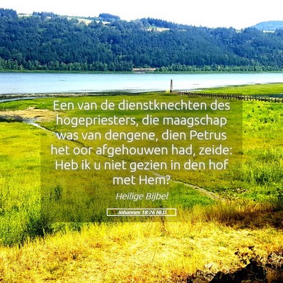Picture 05 - Johannes 18:26 NLD - Een van de dienstknechten des hogepriesters, die - Bible Verse Picture