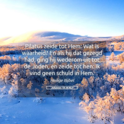 Picture 05 - Johannes 18:38 NLD - Pilatus zeide tot Hem: Wat is waarheid? En als - Bible Verse Picture